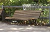 le banc