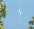 Le bateau
