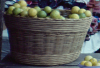 le panier