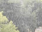 la pluie
