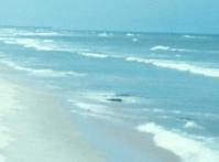 Les vagues